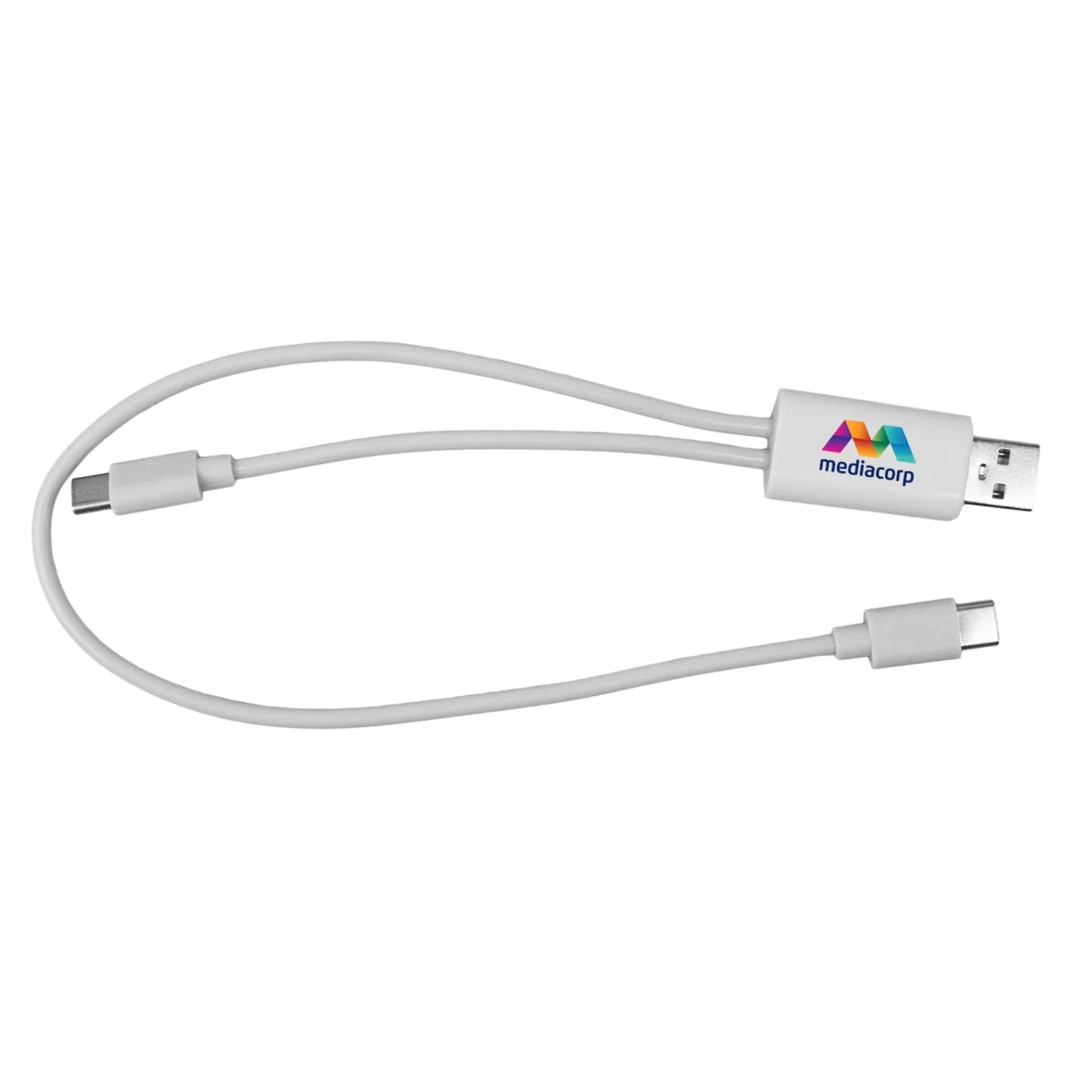 Dual Input A + C to C Accent Cable 10