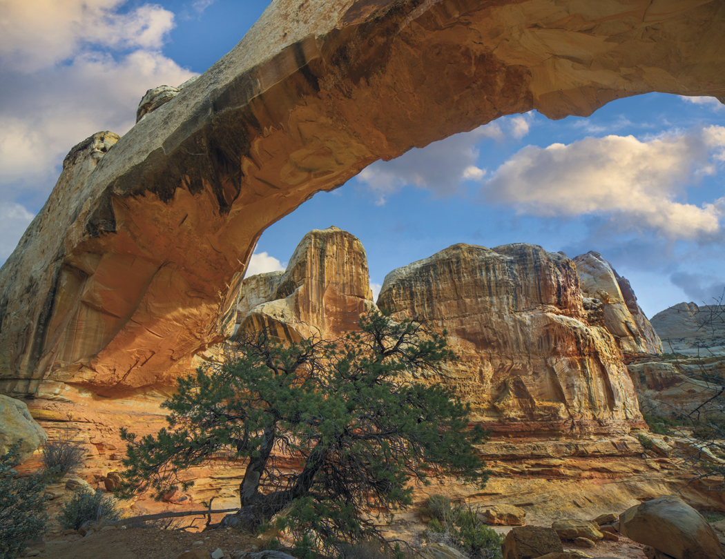 HotLine® Products Our Country® Executive Calendar 9