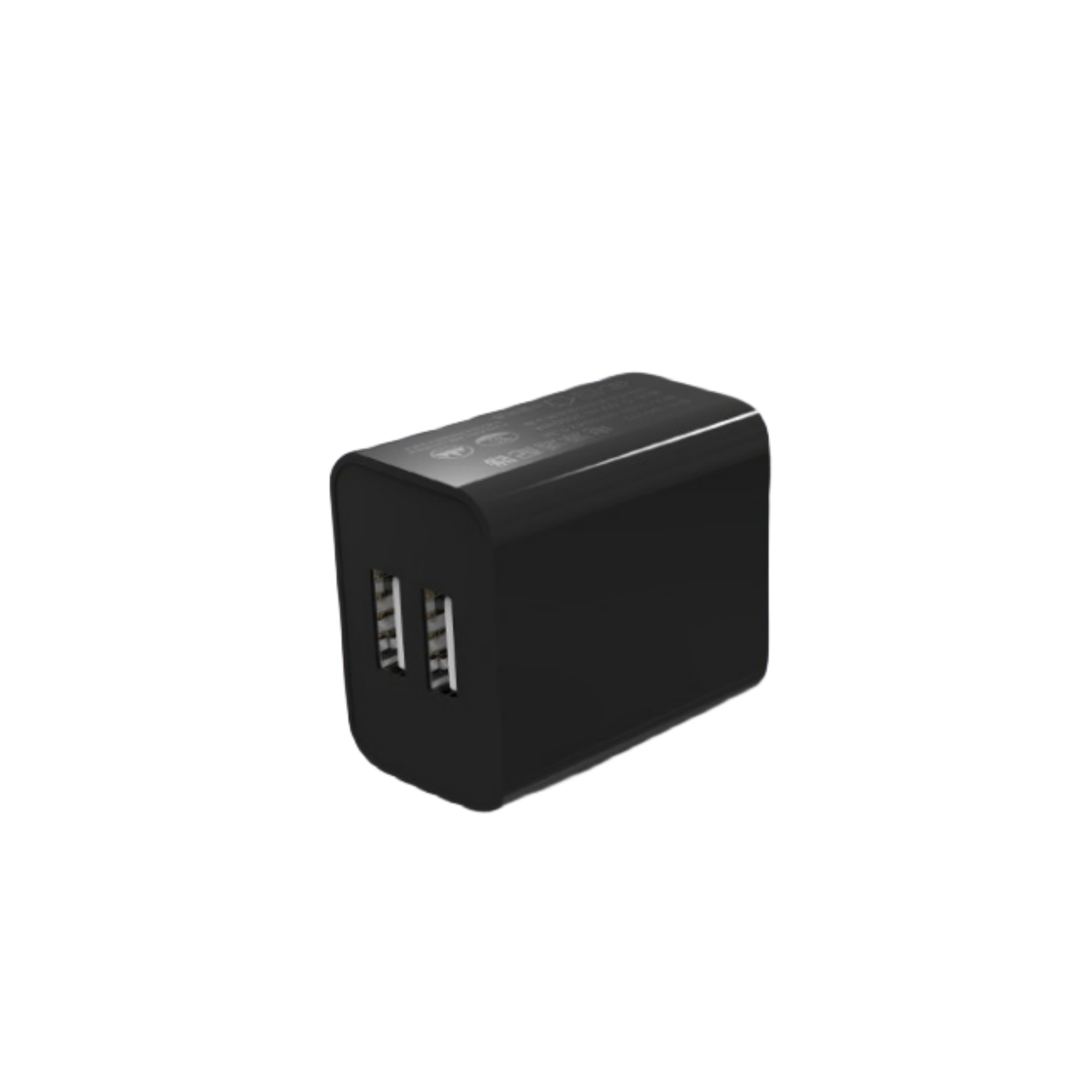 10W Dual Port Plug Wall Charger Block 1