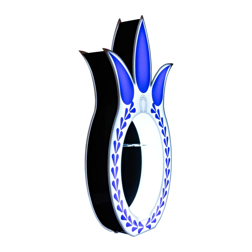 OEM Custom Molded LED Bottle Presenter 15
