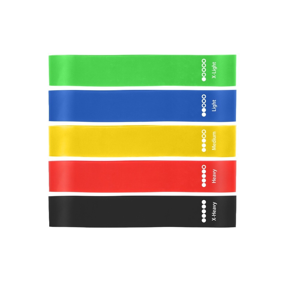 Resistance Loop Exercise Bands with Instruction Guide and Carry Bag, Set of 5 5
