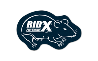 Rat/Mouse Rubber Jar Opener 24