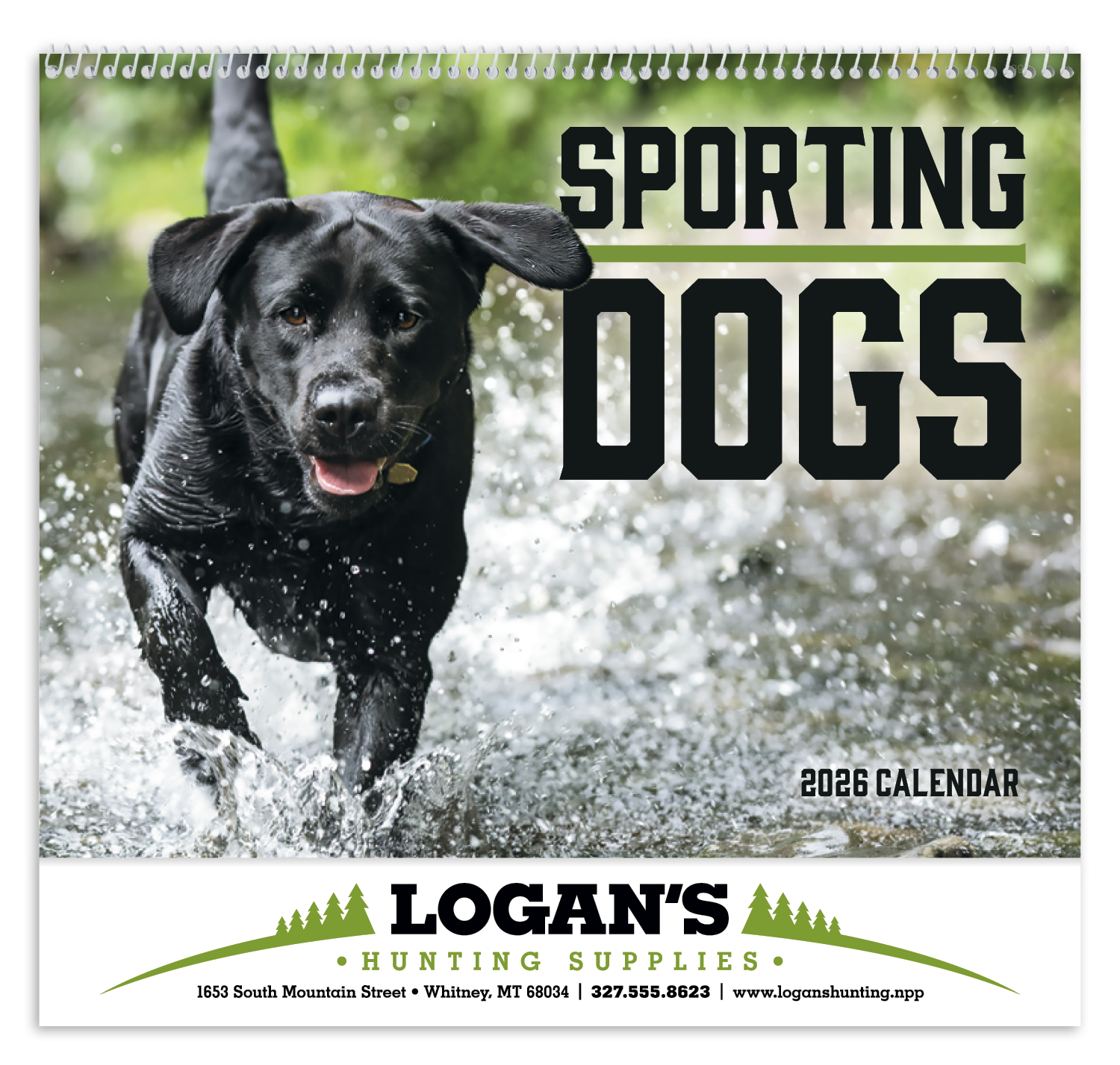 Good Value™ Sporting Dogs - Spiral Calendar 67