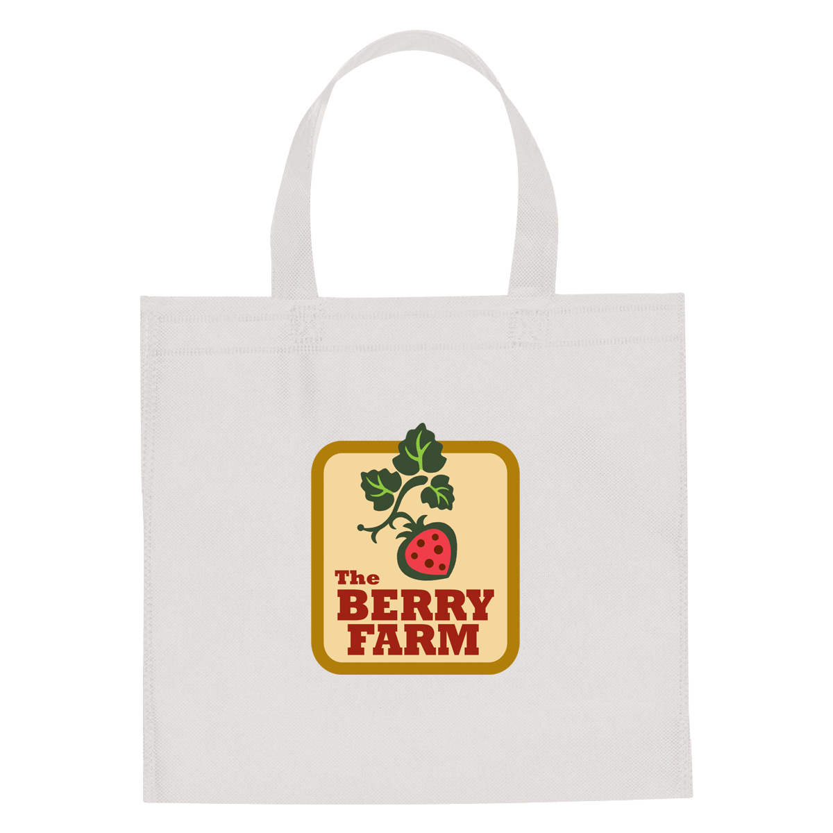 Non-Woven Mini Brochure Tote Bag 20