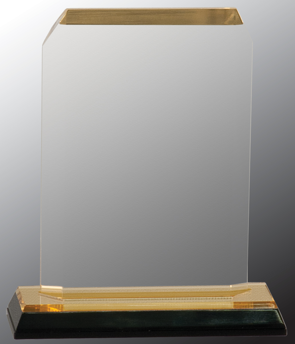 Impress Clipped Acrylic Award 2