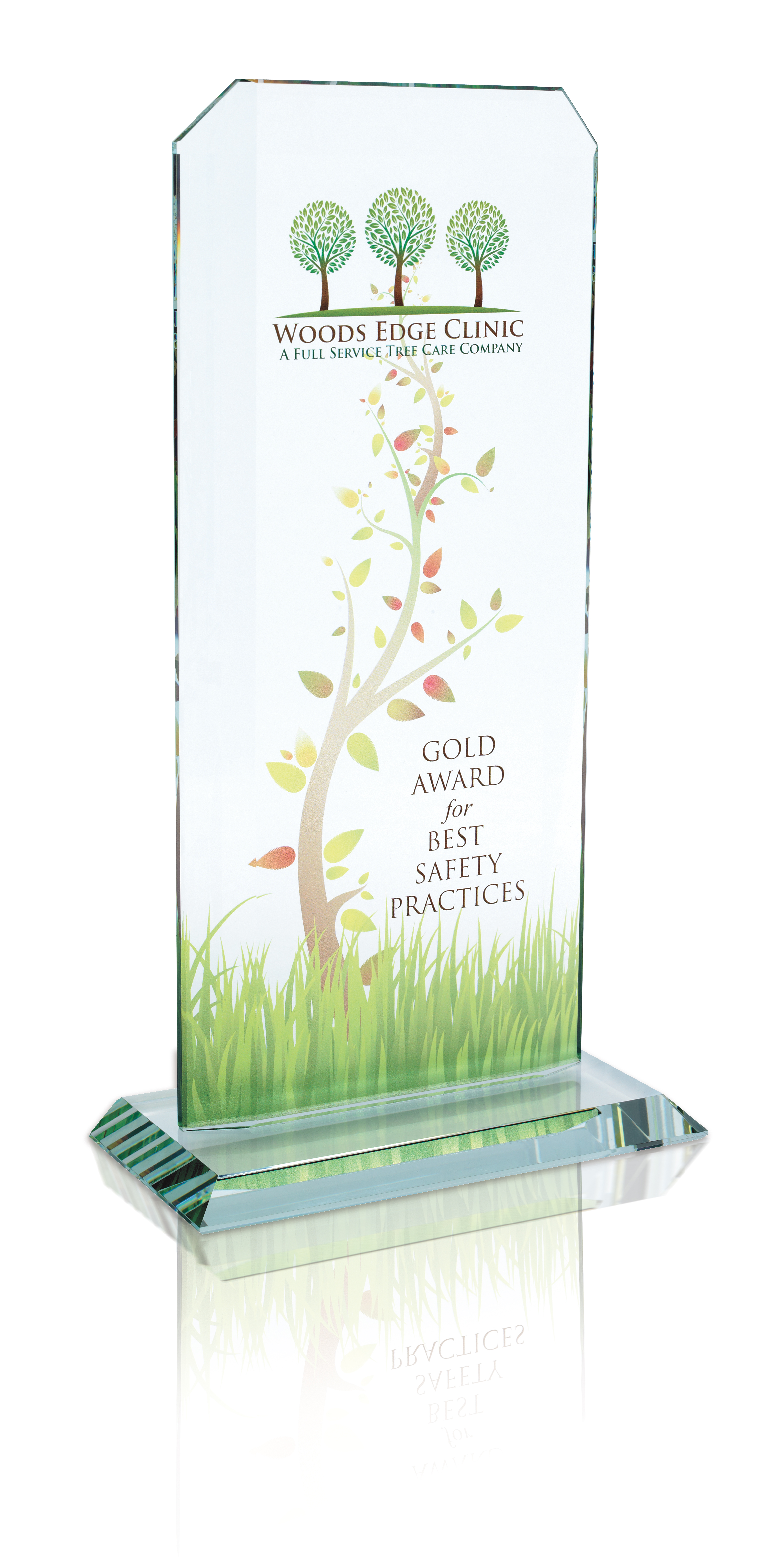 JAFFA® Starfire Echo Award - Large 1