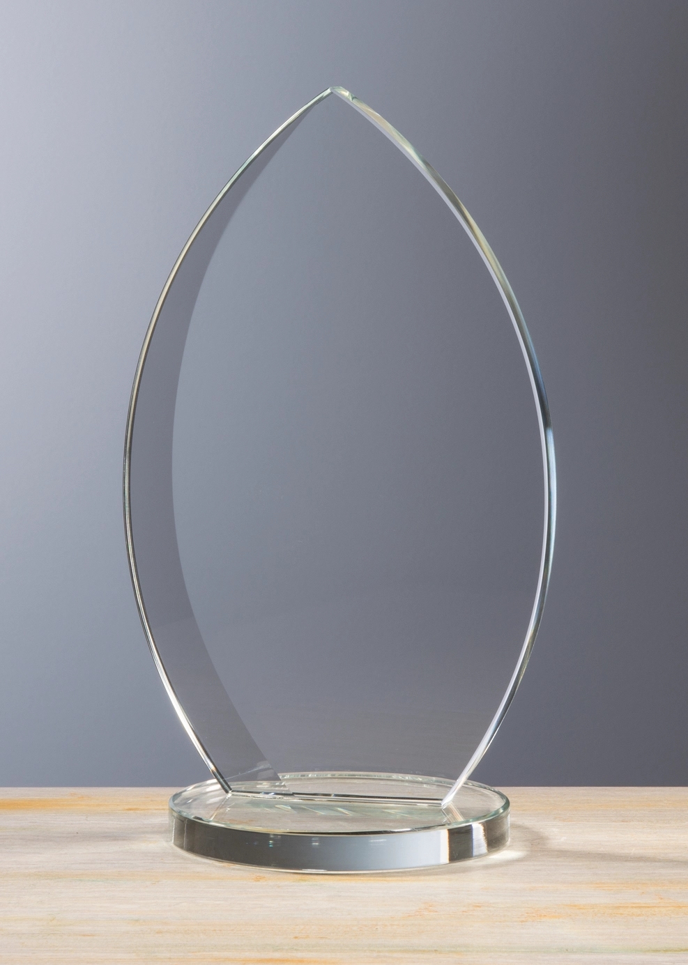 Eclipse Award 3
