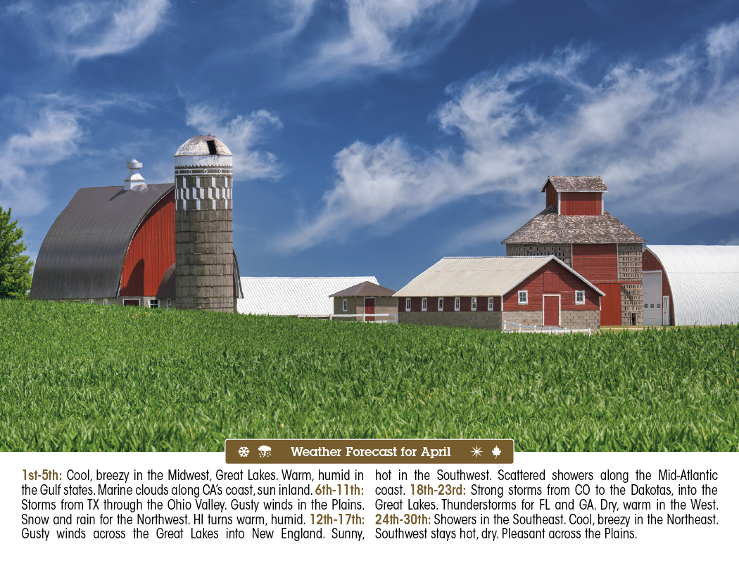 Triumph® Calendars Scenic Almanac 31