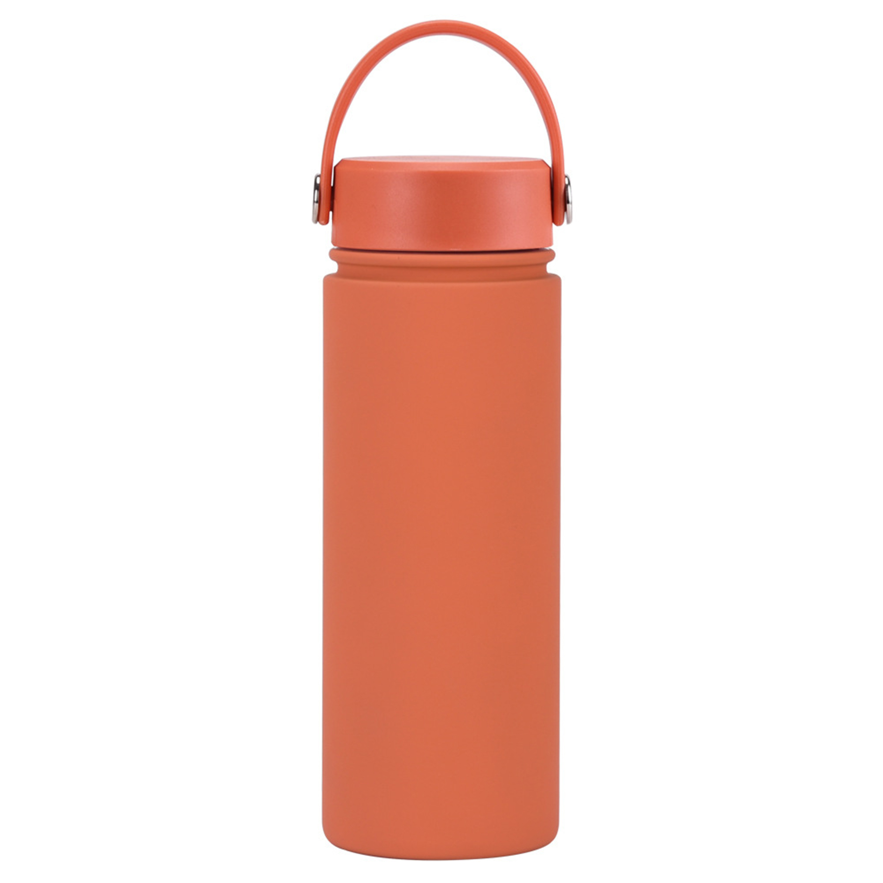 Stainless Steel Travel handled Water Bottle 14