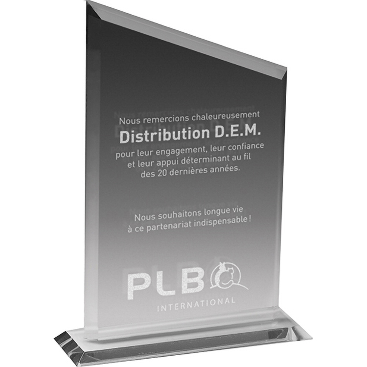 Clear Acrylic Declaration Award (5 3/4"x 8 1/2"x 3/8") Laser Engraved
