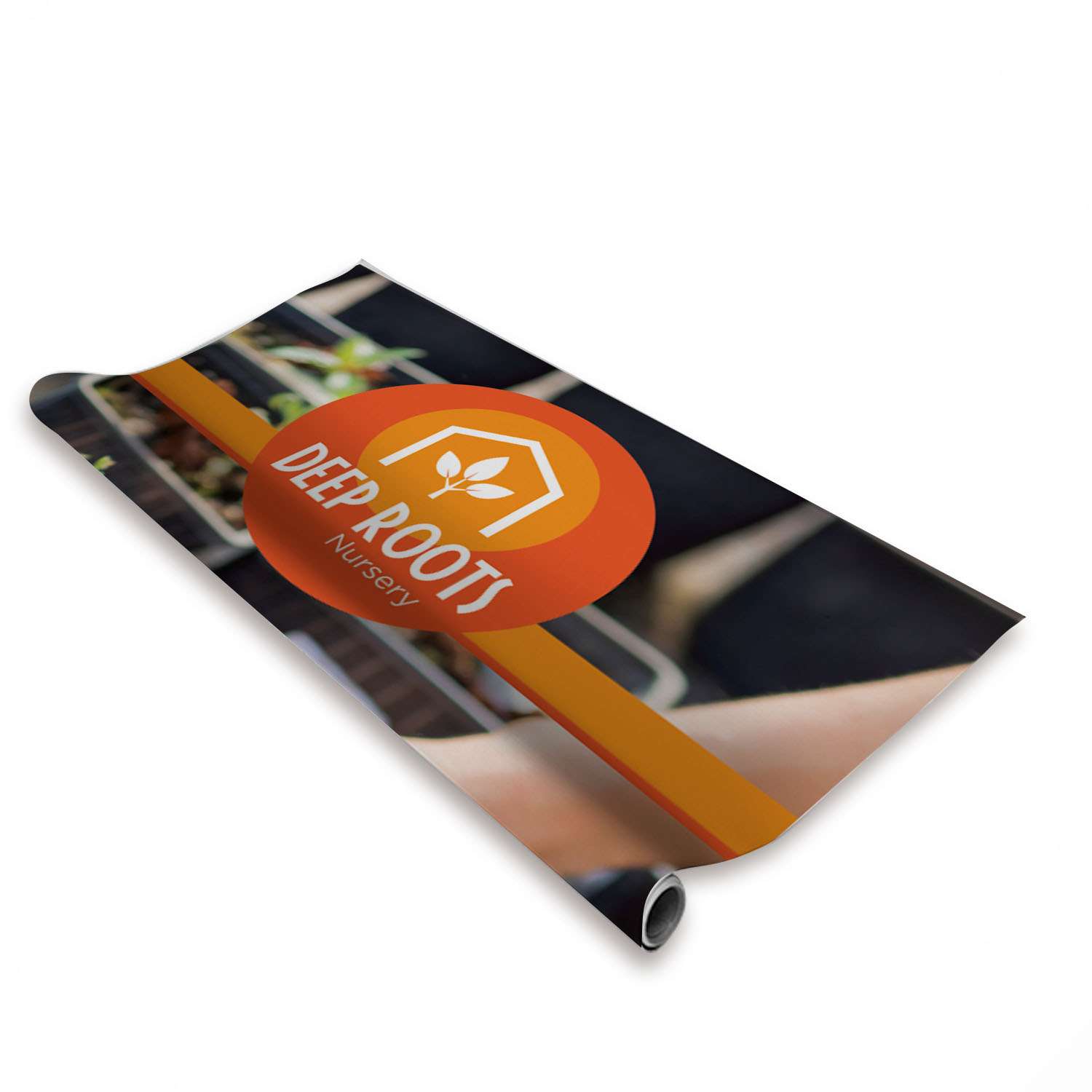 31.5" x 79" Euro-X Replacement Banner 2