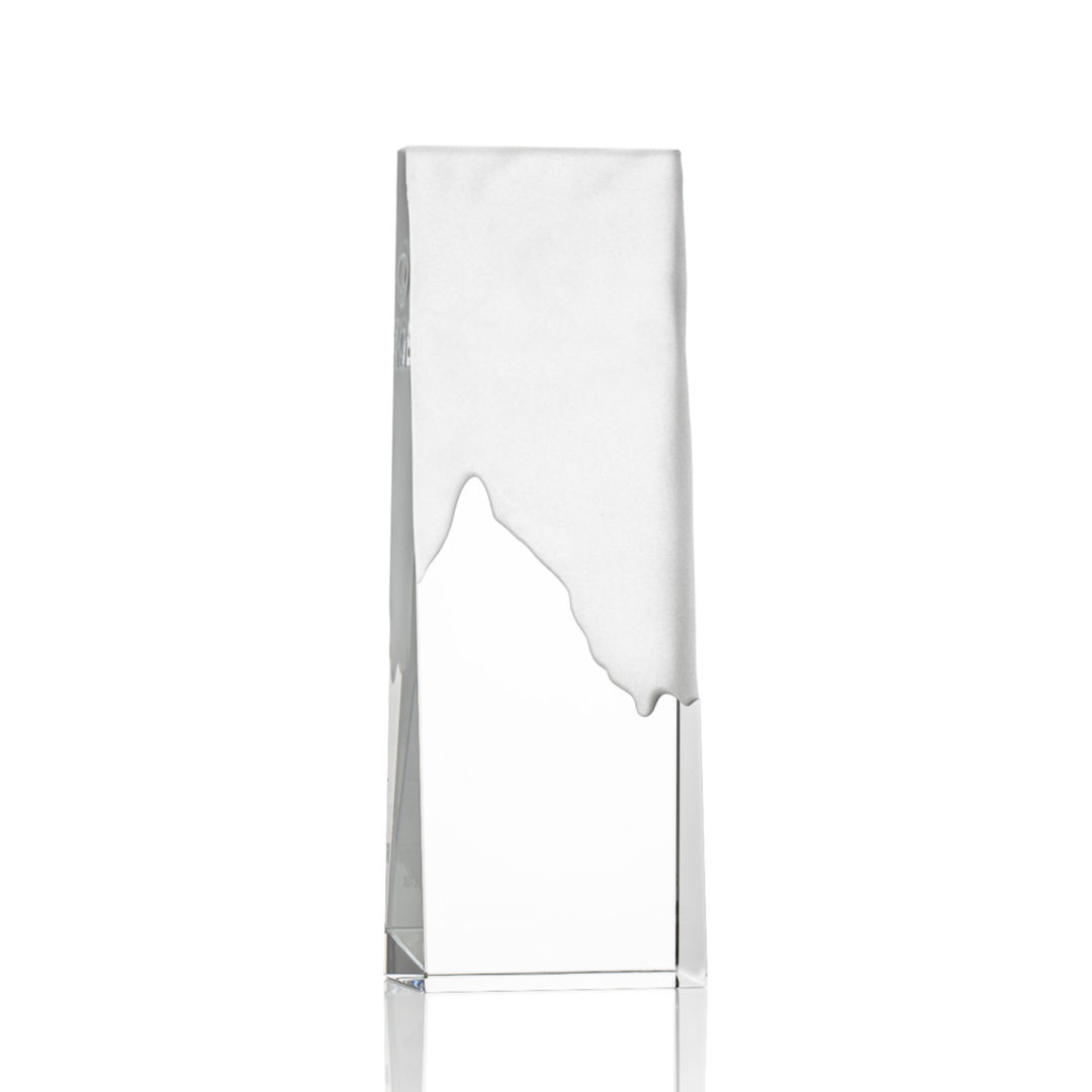 Rushmore Award 6
