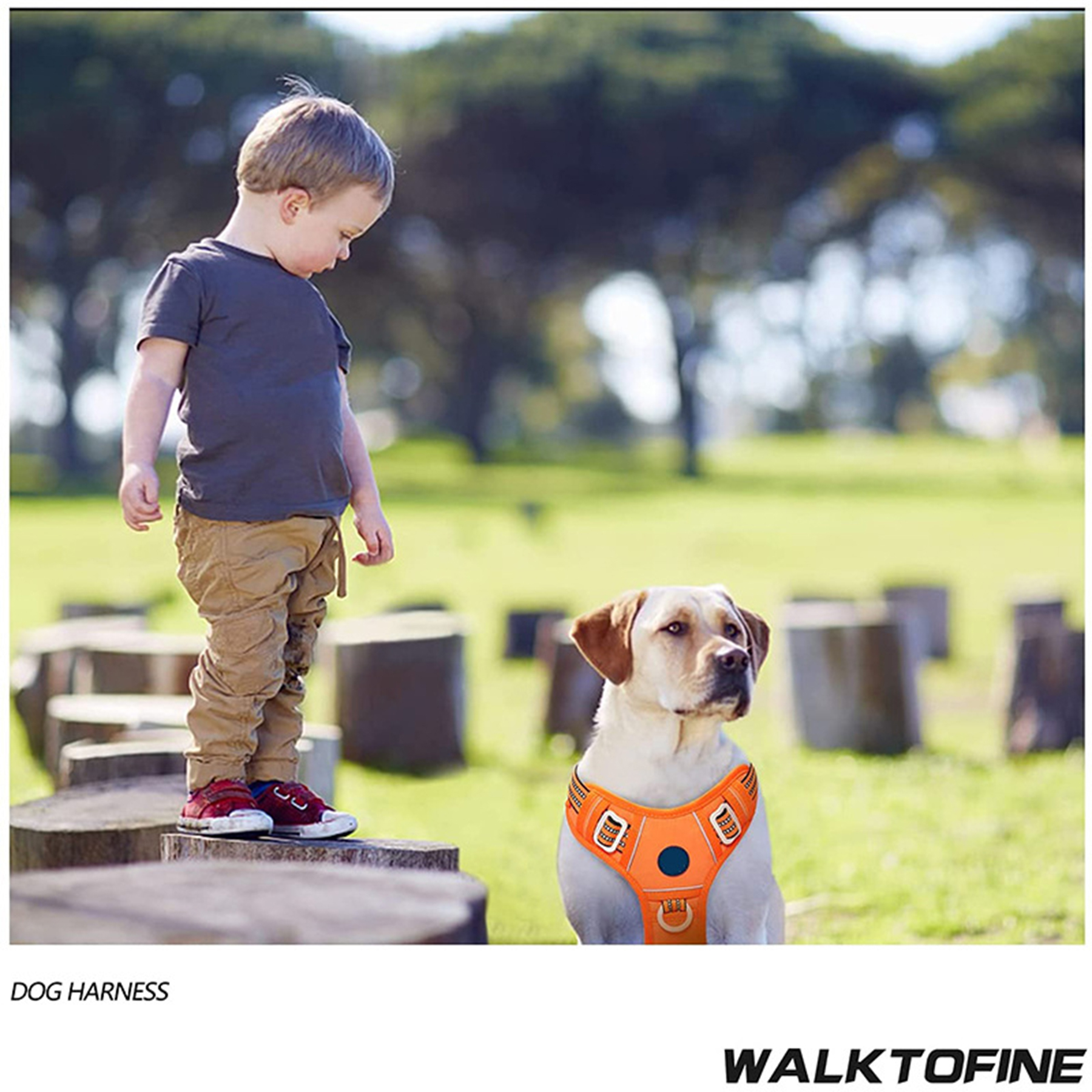 Adjustable Pet Dog Vest 3