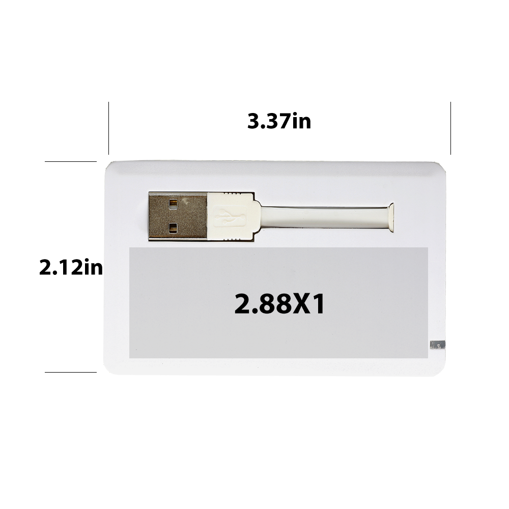 Shabbona Executive Pull Out USB Card