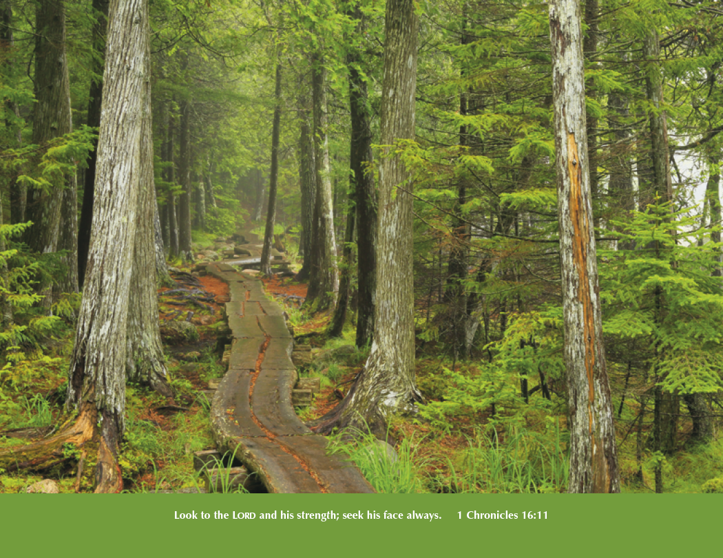 Good Value™ Everlasting Word without Funeral Planner - Spiral 59