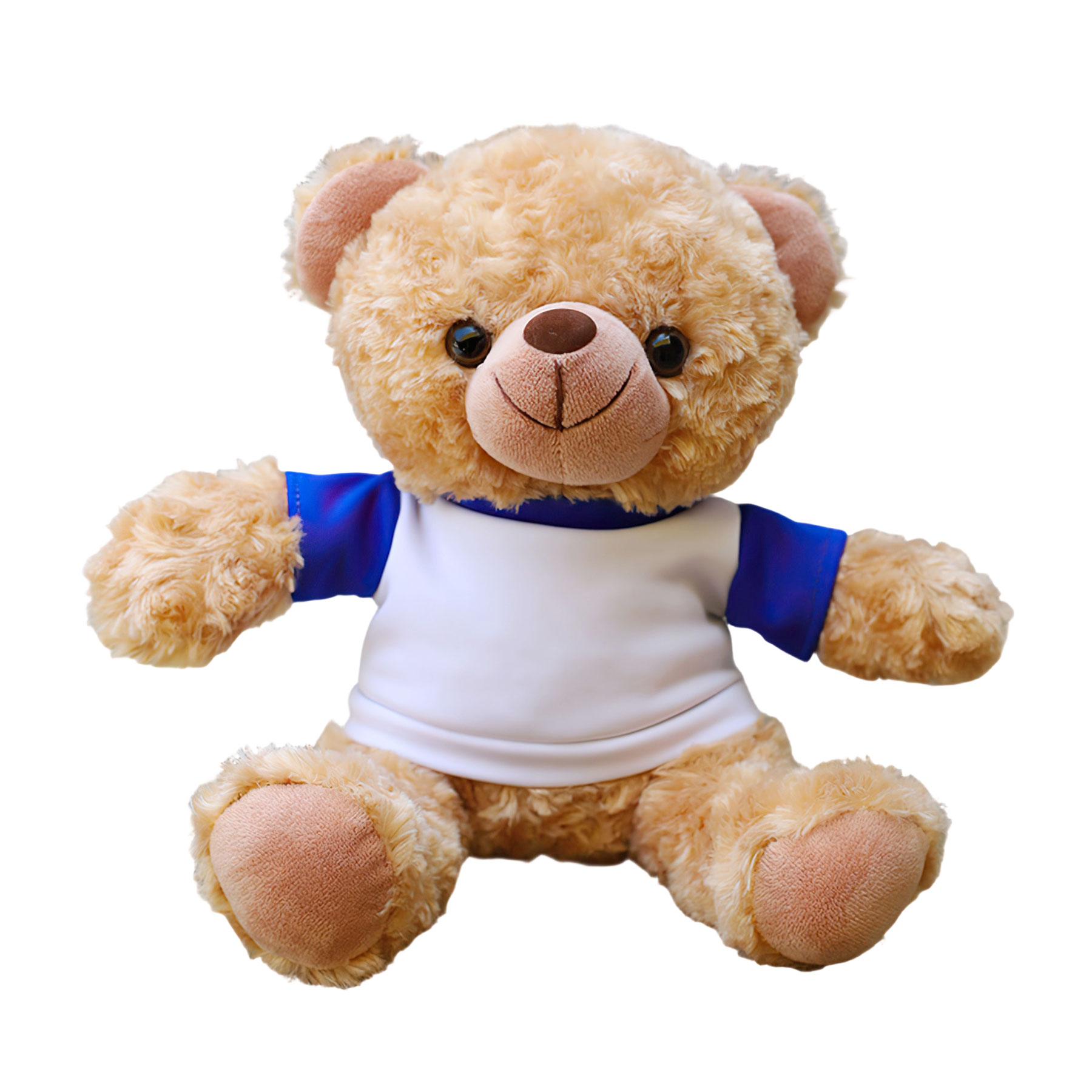 11'' Seated Style Stuffed Plush Teddy Beat With T-shirt 2