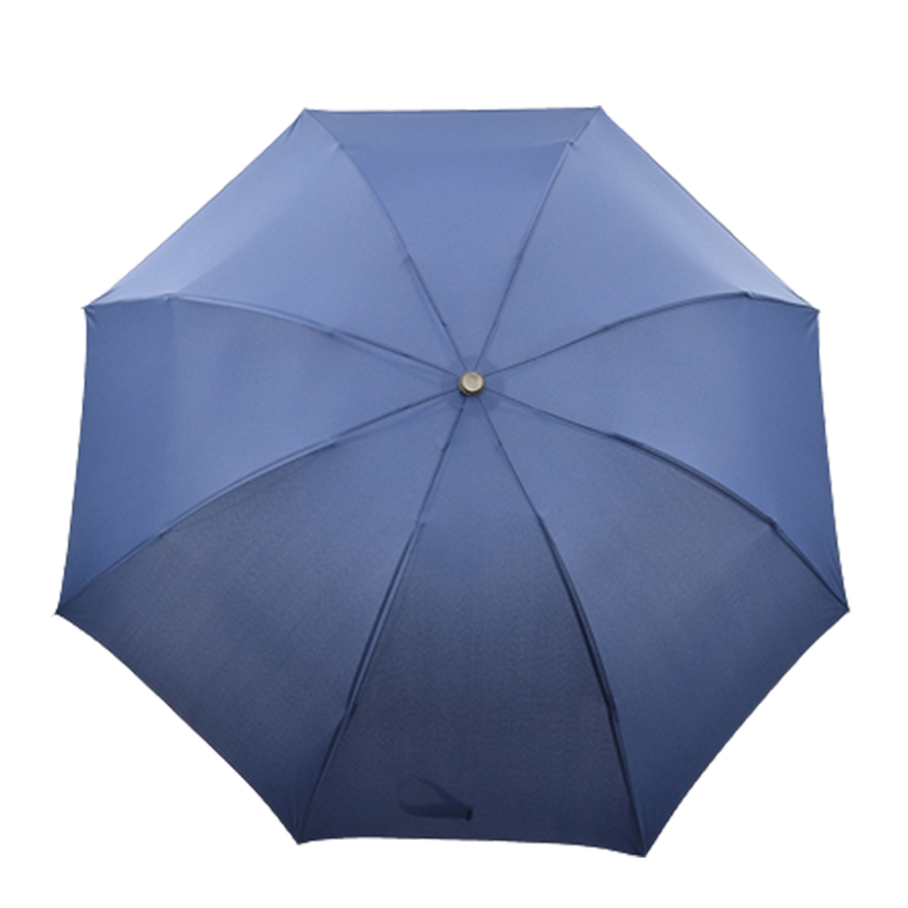 Folding Umbrella 1