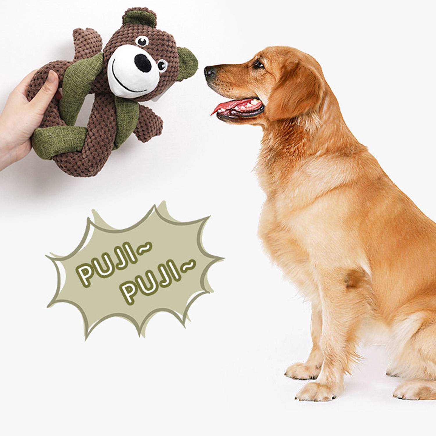Chew Proof Squeaky Pet Toy 14