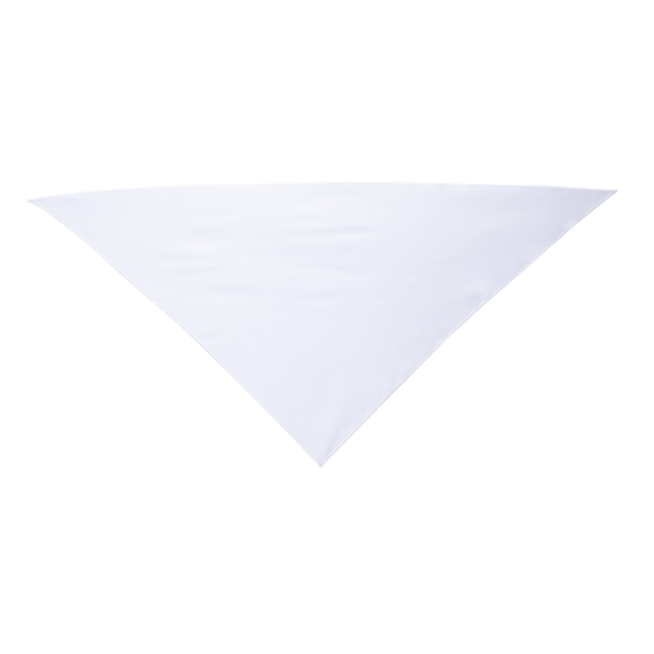 Dye-Sublimated Pet Bandana 5