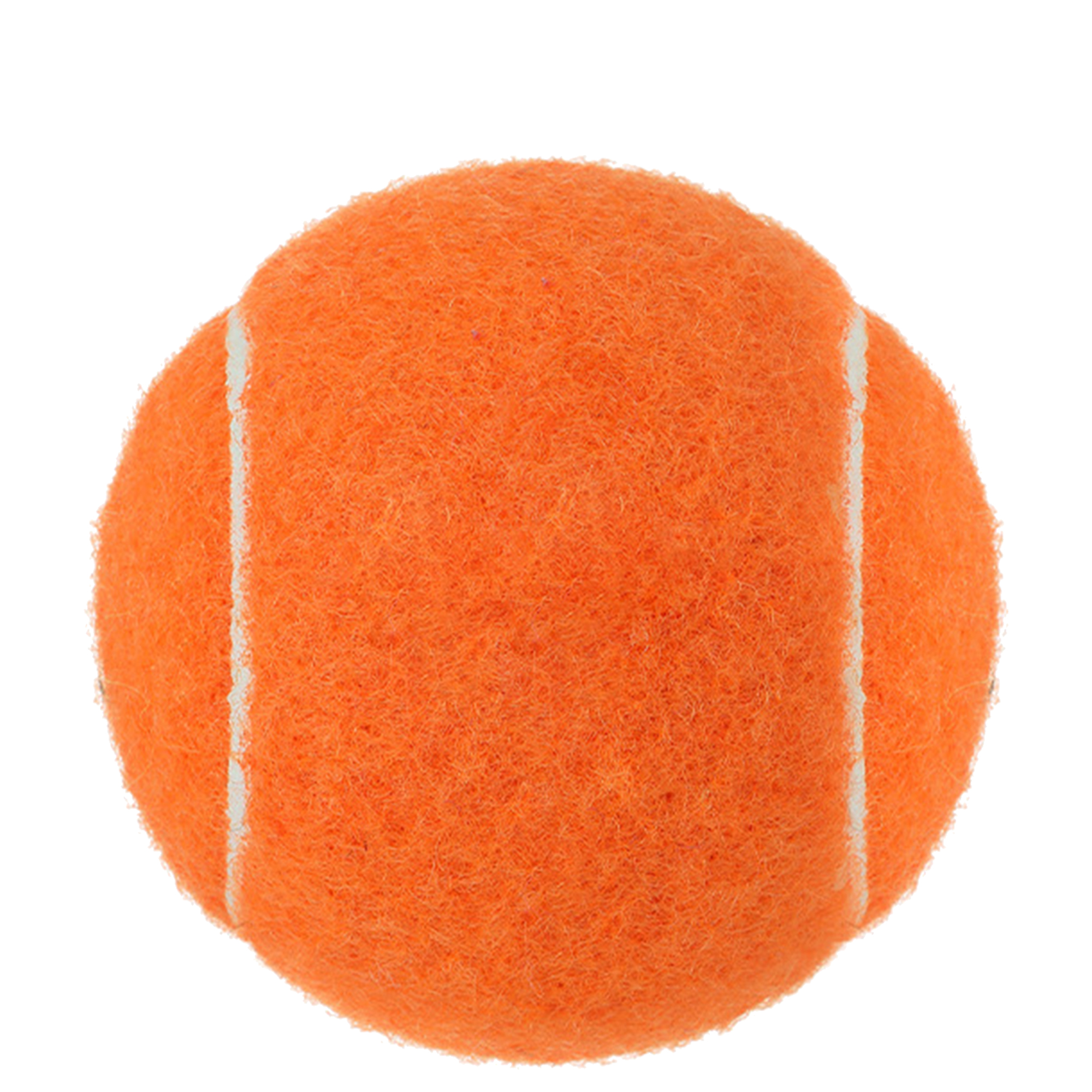 Customizable Dog Play Ball 33