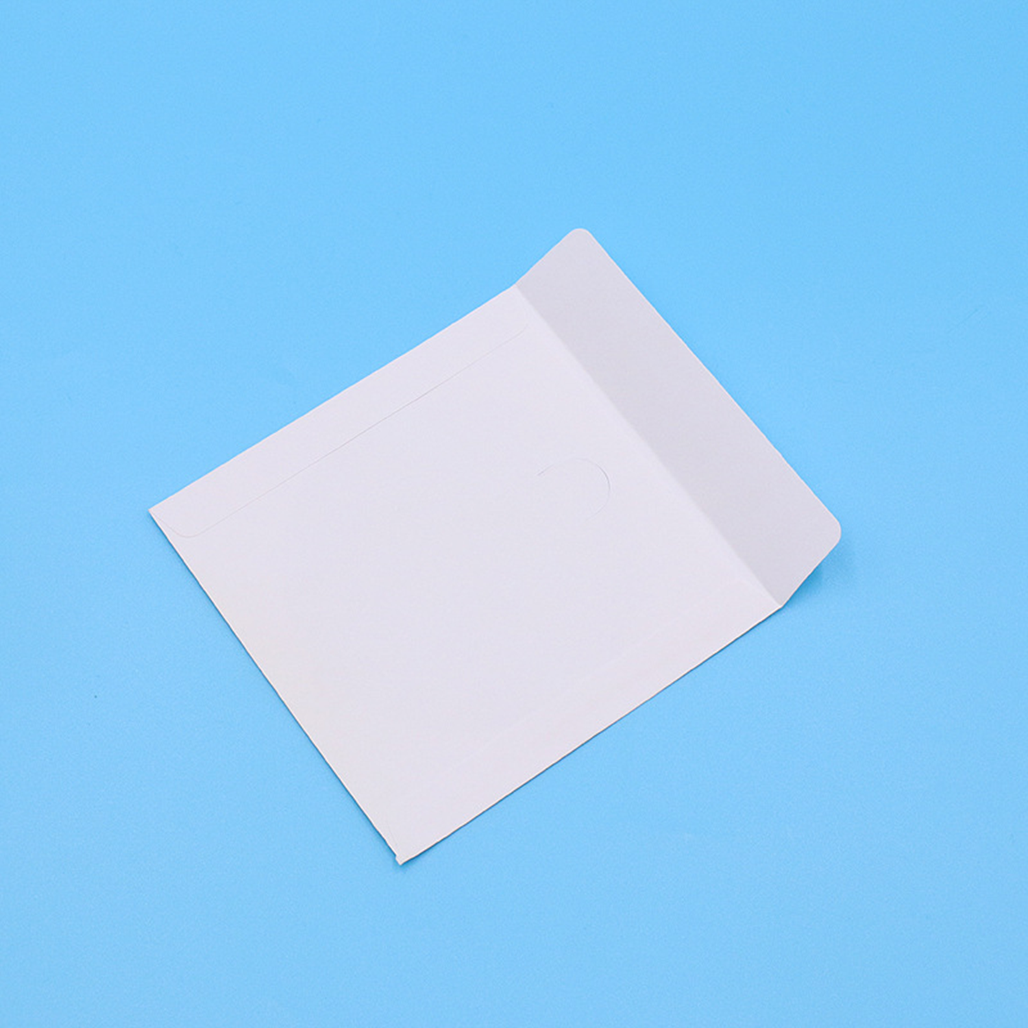 Paper CD Sleeve 2