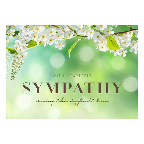 Spring Blossoms Sympathy Greeting Cards 2
