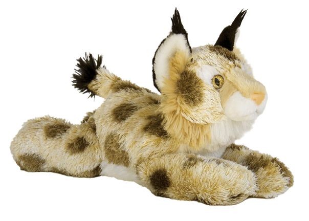 12" Bobby Bobcat 2