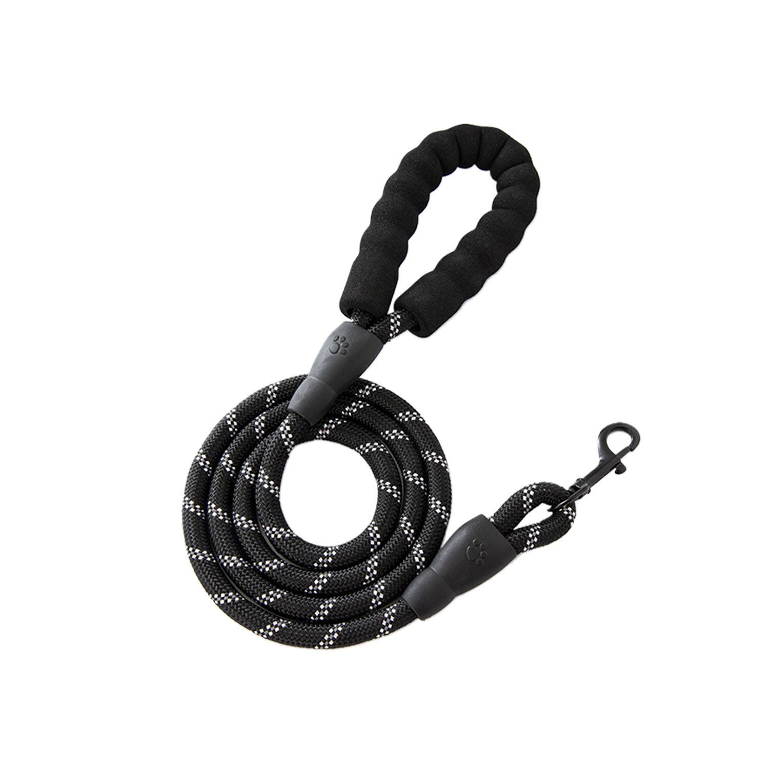 Pet Dog Leash 1