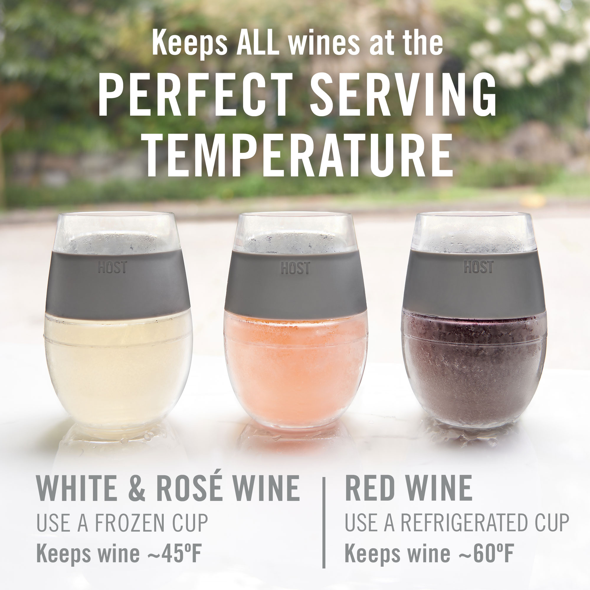 HOST® Clear Wine FREEZE™ Cup, set of 2 9