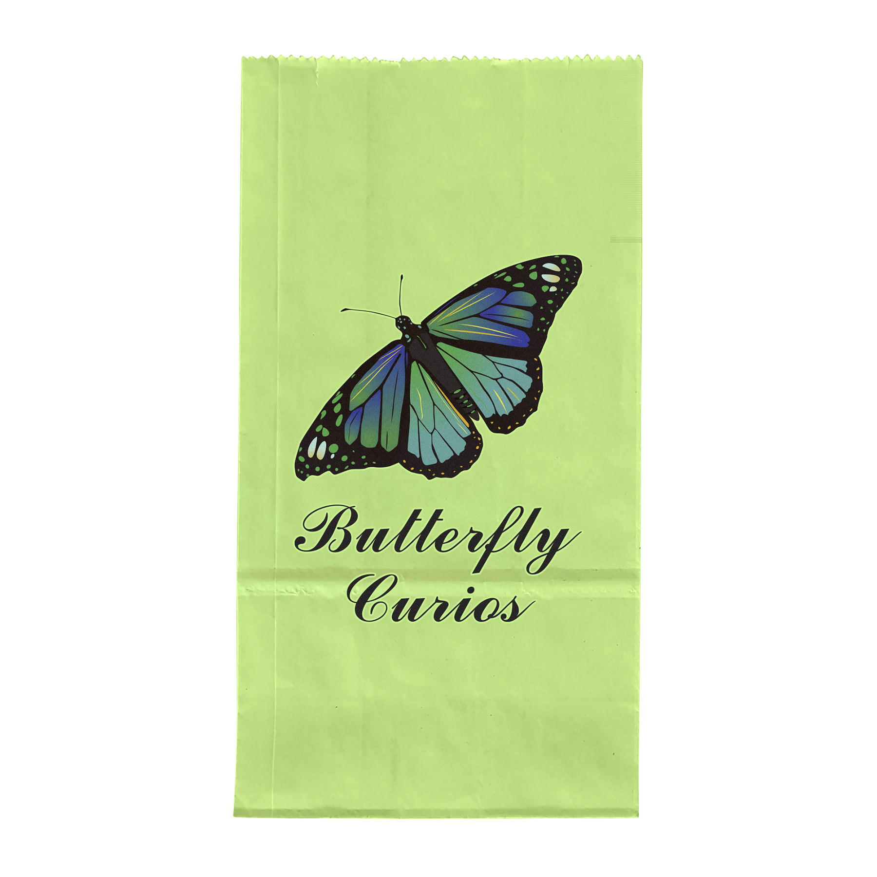 2# Popcorn Bag - ColorVista 8