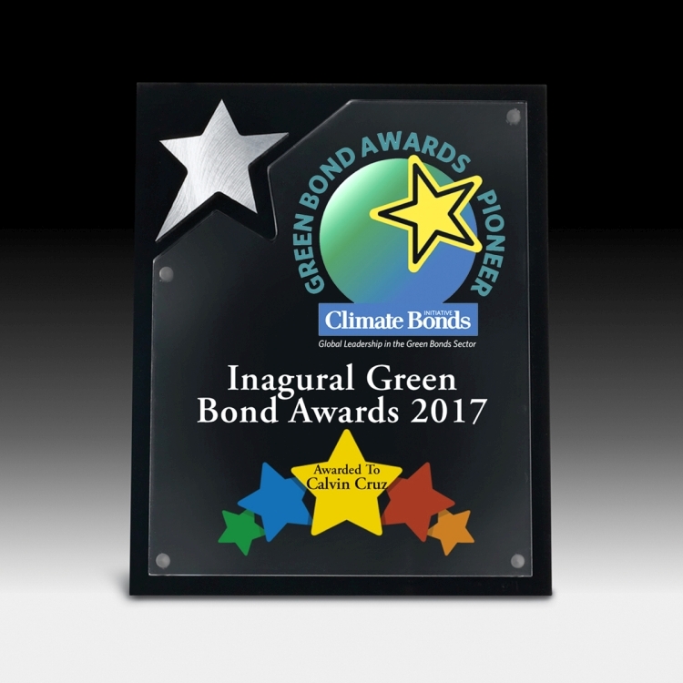 North Star Plaque - Screen Print - (8" x 10" x 5/8") 4