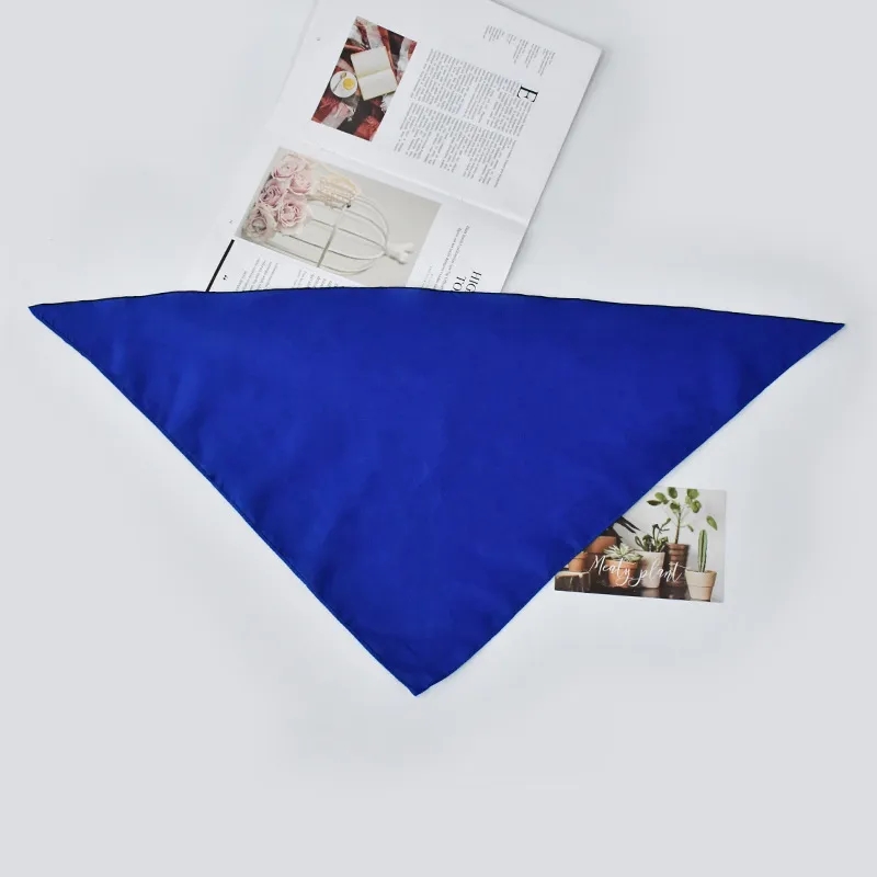 Pet Bandanna 1