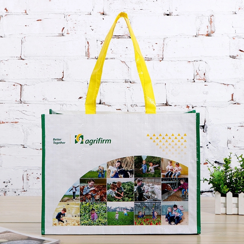 Eco-friendly PP Laminated Bag 5