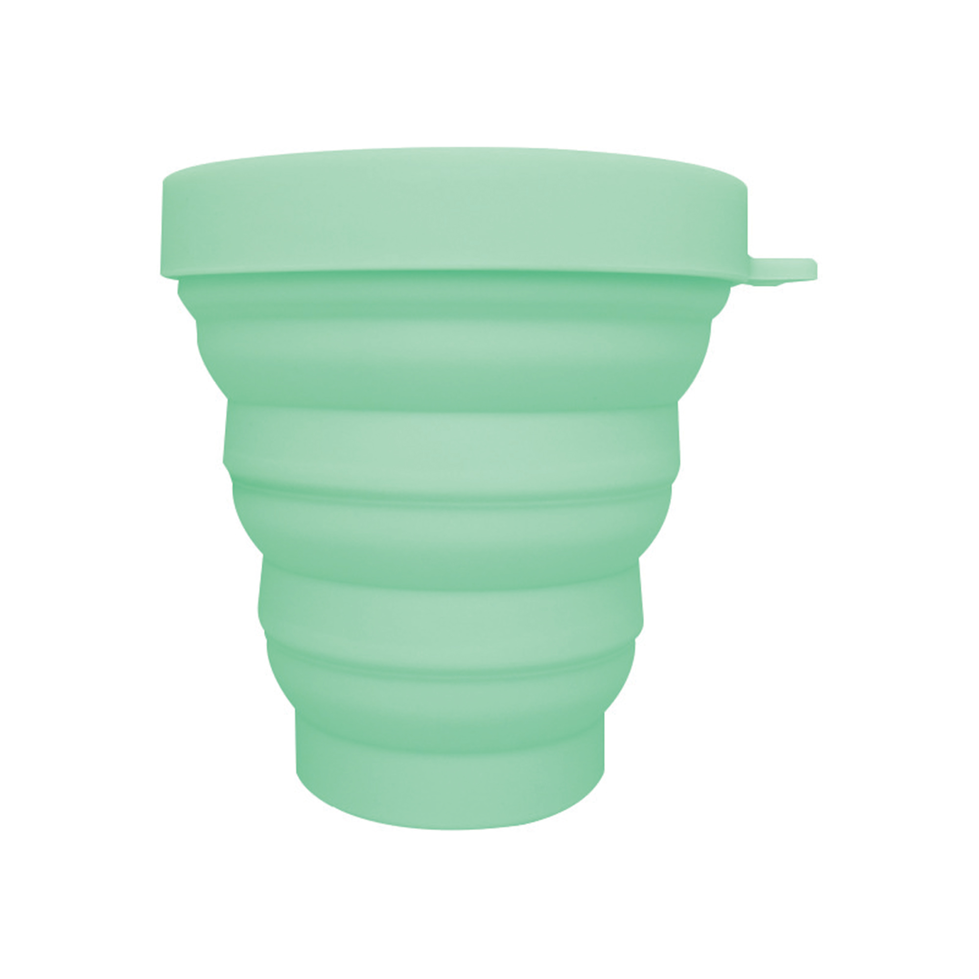 Collapsible Carabiner Pet Bowl 1