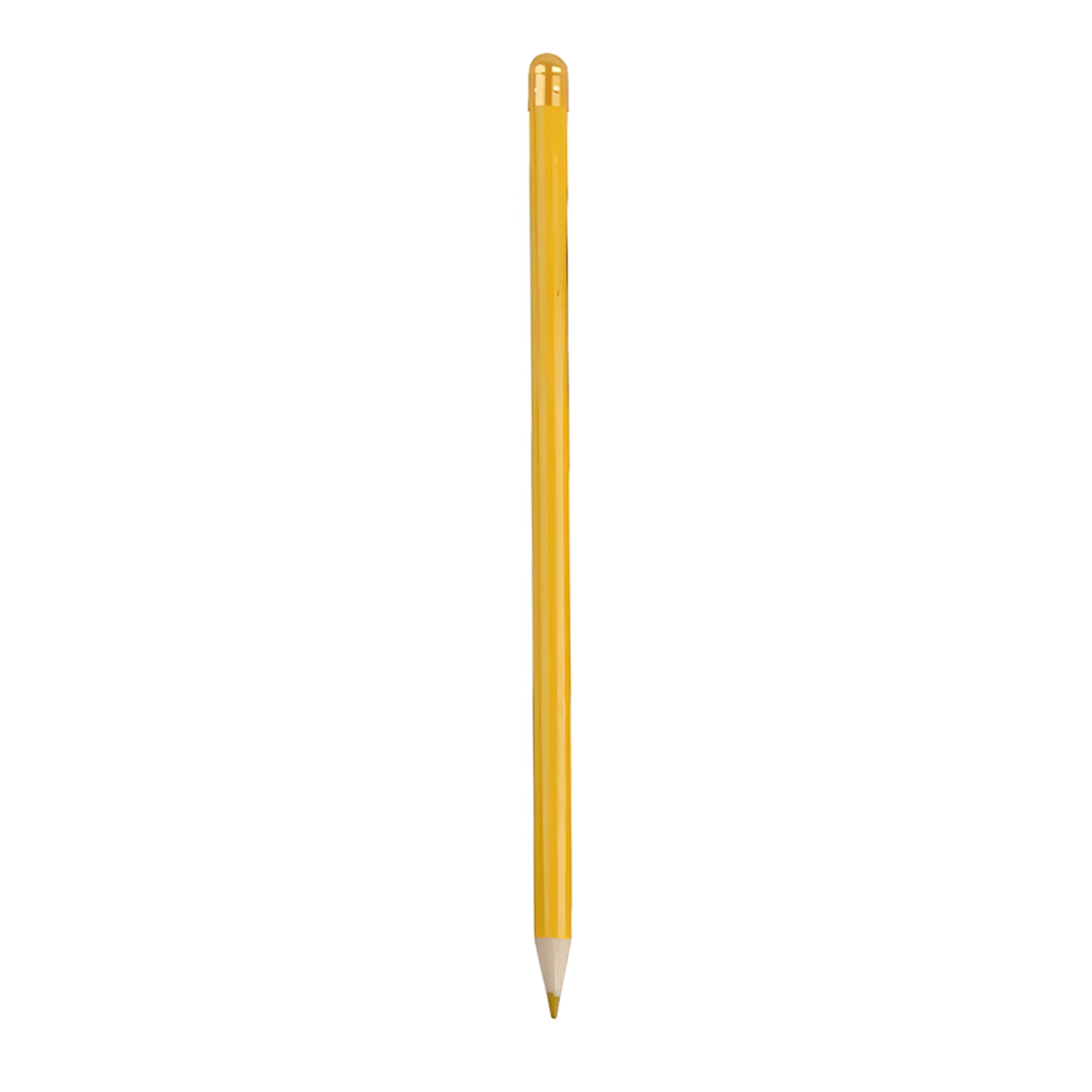 Customized daisy seed germination pencil 1
