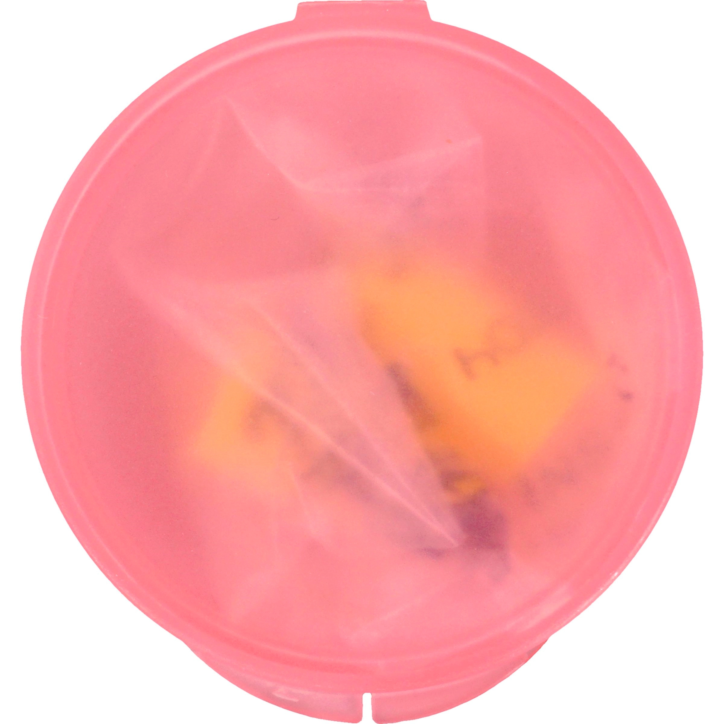 Ear Protection in Round Case 13
