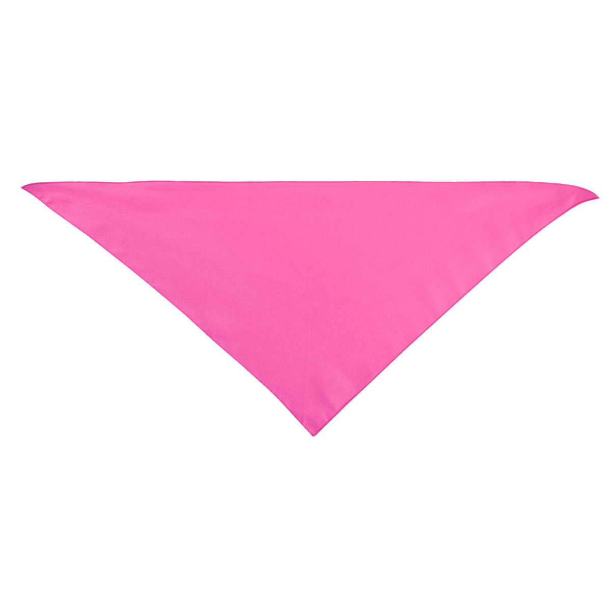 Large Triangle rPET Pet Bandana 13