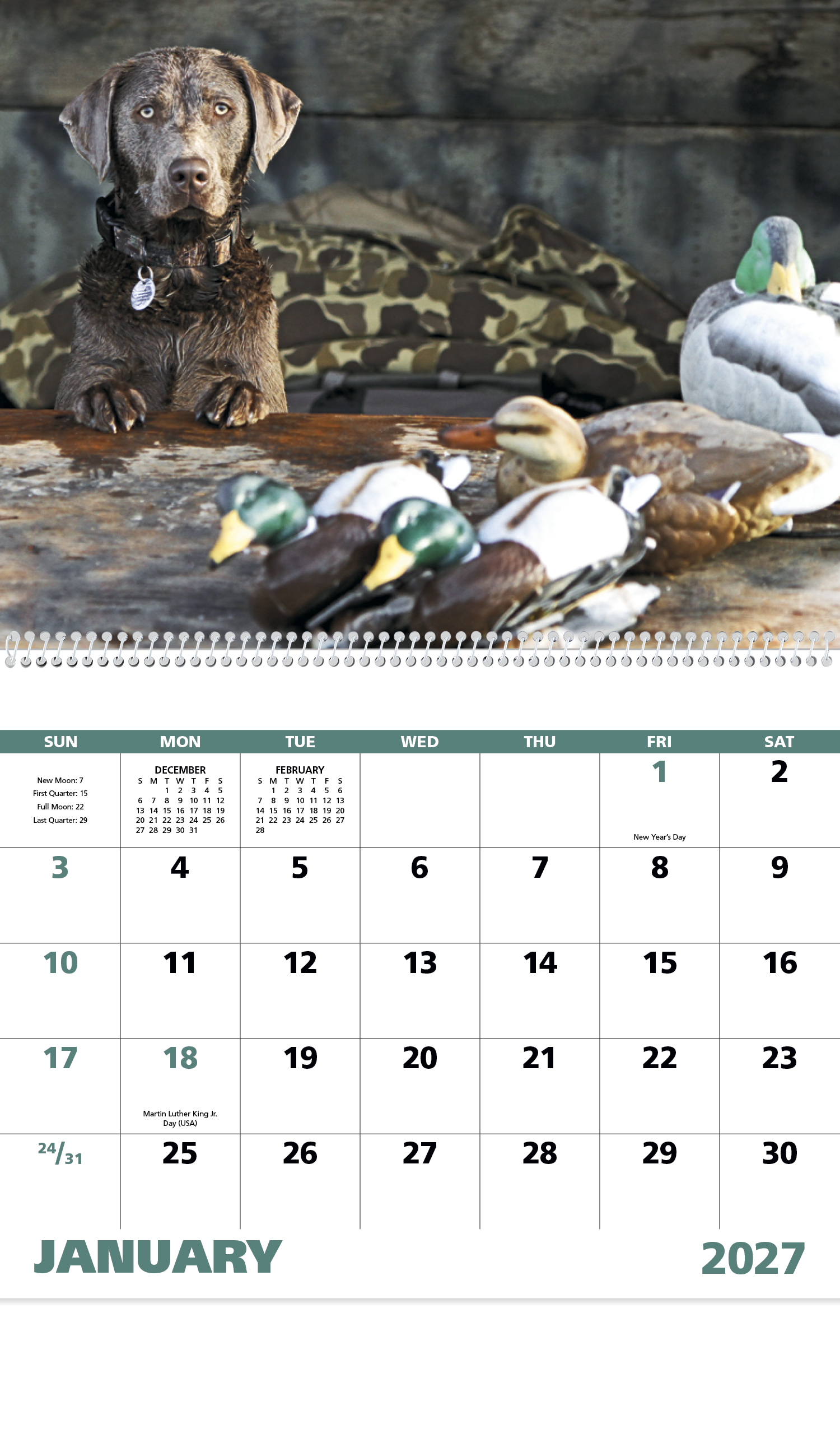 Good Value™ Sporting Dogs - Spiral Calendar 44