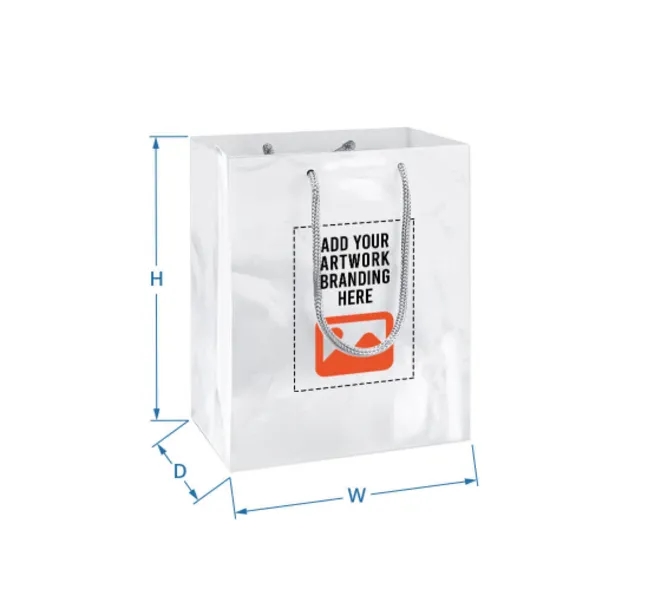 Printed Gloss Paper Bags (170 GSM Art Paper) 3