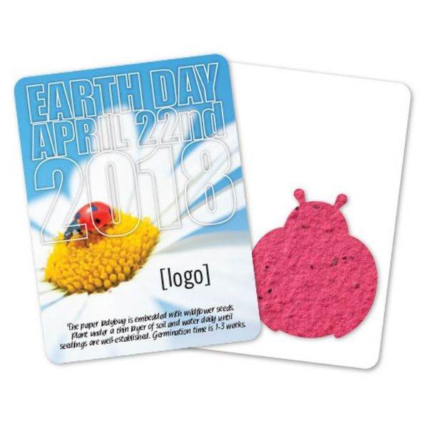 Mini-Gift Pack 20