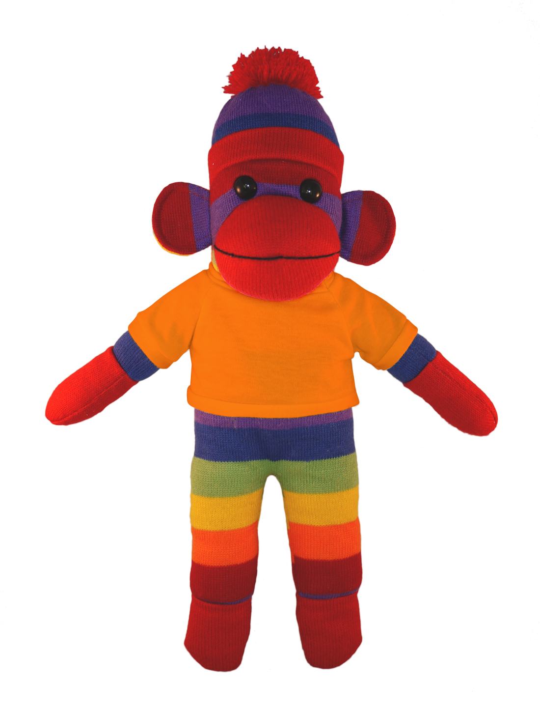 Rainbow Sock Monkey with Tee 2