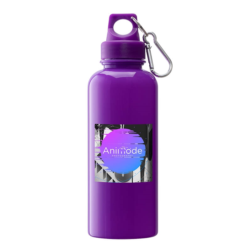 Brio 20 oz. PS Water Bottle w/ Carabiner 66