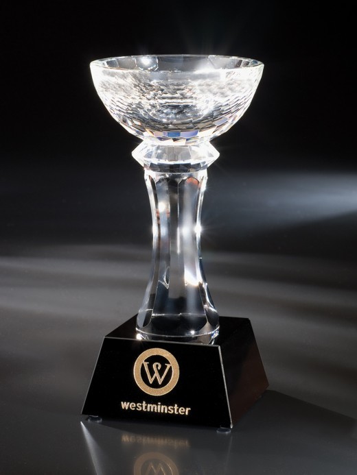 Contemporary Vistas Crystal Suncrest Award 2