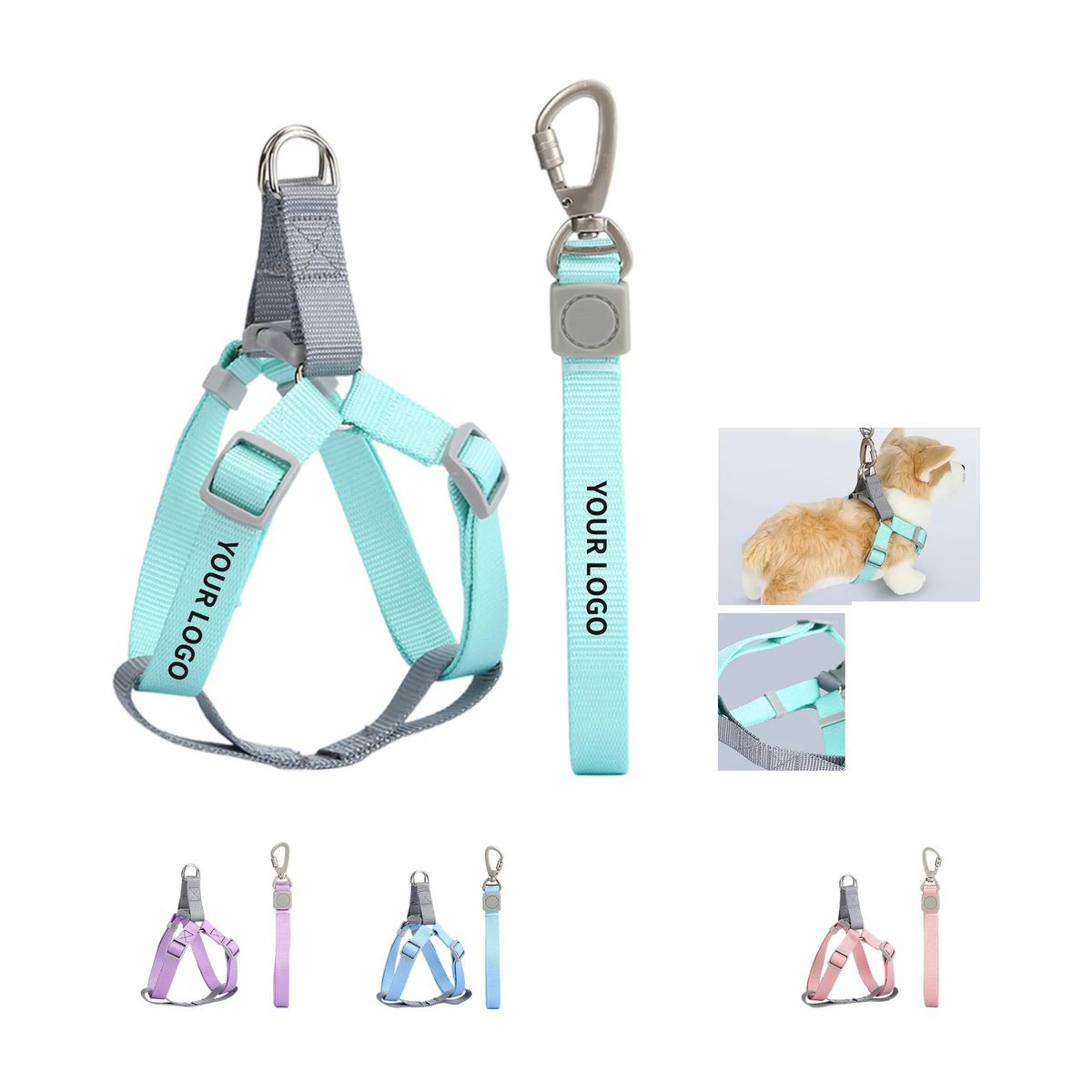 Nylon Multi Length Pet Walking Lead 2