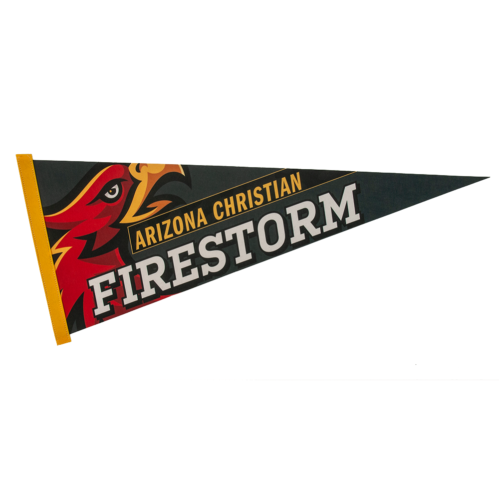 12" x 30" Full Color Felt Pennant 12