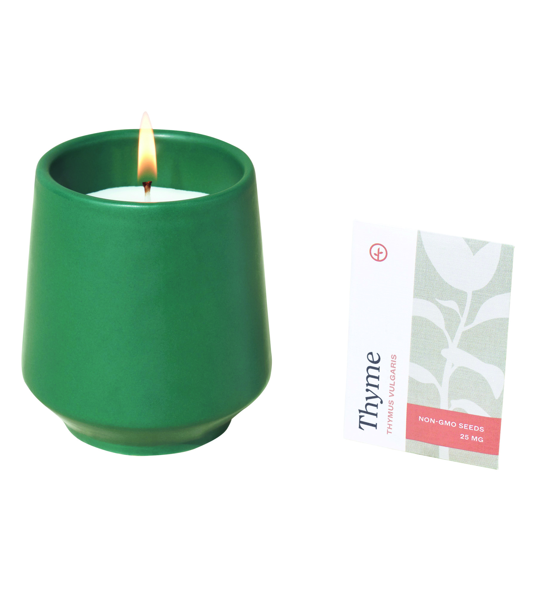 Modern Sprout® Rooted Candle 14