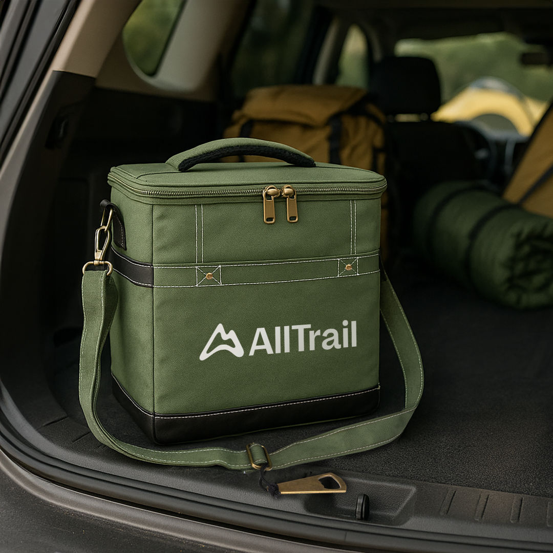 Chillmate Deluxe Cooler Bag 7