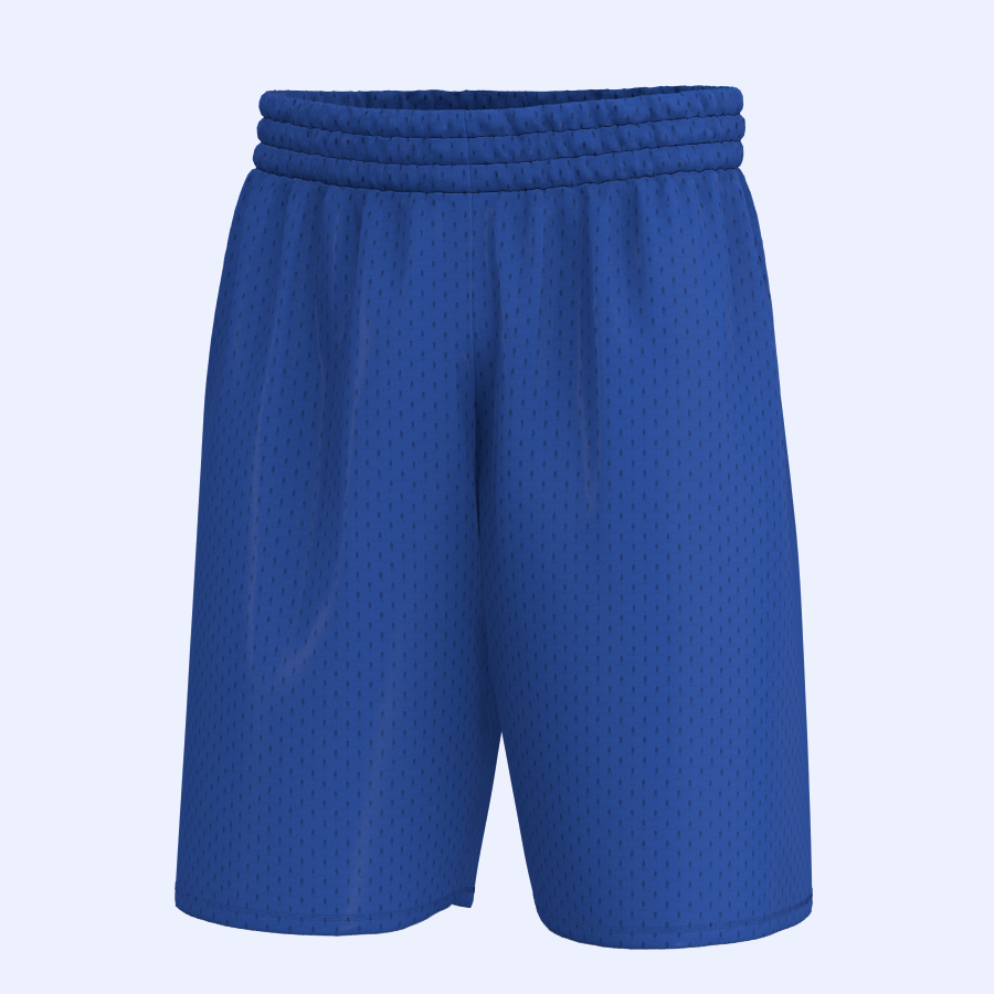 Mesh Shorts w/ 9" Inseam 2