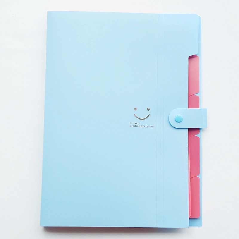 Expanding File Folder 5 Pockets 11