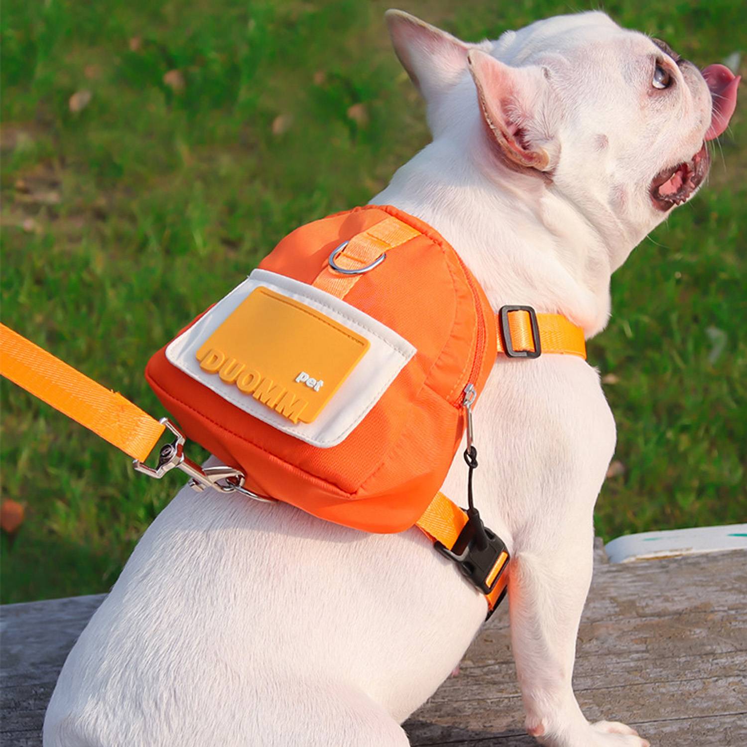 Cartoon Pet Polyester Backpack w/ Dog Leash 5